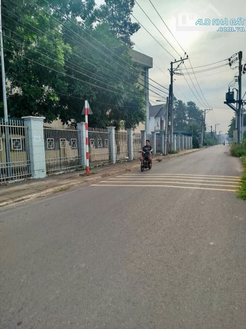 BÁN LÔ ĐẤT HẺM ĐỐI DIỆN TRƯỜNG HỌC ĐINH TIÊN HOÀNG,XÃ BÌNH MINH,ĐỒNG NAI - 4