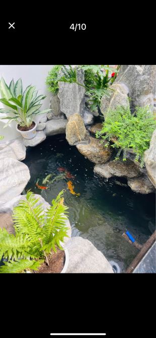 Bán nhà trong ngõ đường Xuân Trình sau 1 nhà mặt đường - 4