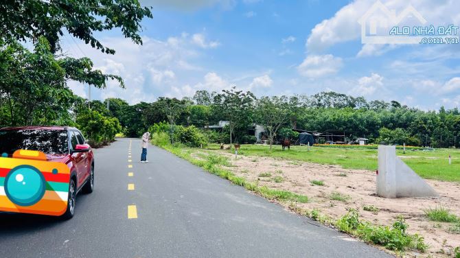 1000m2 (15x68m) gần biển Lộc An - BRVT - 4