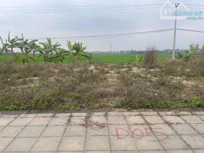 Chủ bán gấp đất DA Eco Tam Nông, mặt đường QL32, cổng khu công nghiệp Trung Hà 250h - 5