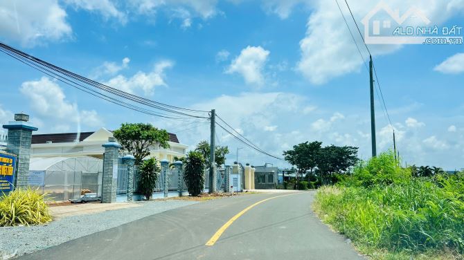 1000m2 (15x68m) gần biển Lộc An - BRVT - 5