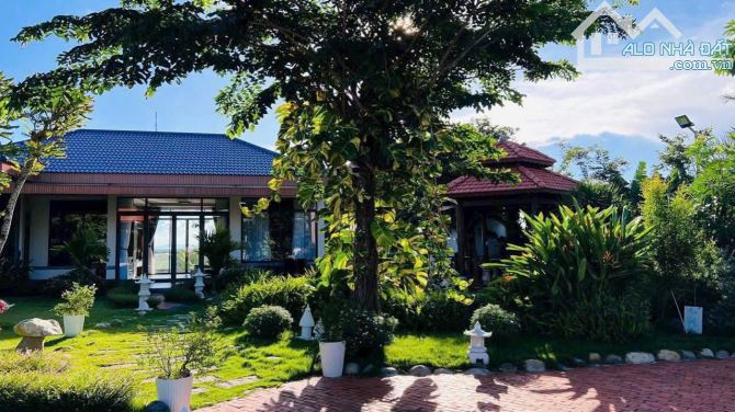 Nhà vườn đẹp hơn 2000m2 gần biển Hồ Tràm - 6