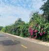 3000m vườn sầu riêng tại long tân 150m thổ cư