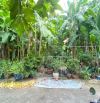 BÁN ĐẤT DỰ ÁN TRƯỜNG THỊNH – ĐƯỜNG 64, PHƯỜNG BÌNH TRƯNG ĐÔNG, Quận 2, 8x20m đường 10M