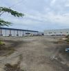 Mời thuê kho trong KCN Thạch Thất-Hà Nội; 1000m2, giá 80k/m2/tháng