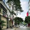 Đặng Xuân Bảng, Linh Đàm 225m2 - Mặt Tiền 10M - Nhiều Ô tô Tránh, Vỉa Hè - KD Đa Dạng.