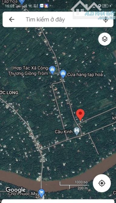 Bán 4800m2 đất vườn dừa mặt tiền đường đan 4m