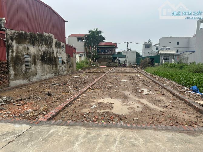 🏡 BÁN ĐẤT 80M² FULL THỔ CƯ – TỔ 10, QUANG MINH, MÊ LINH 🏡