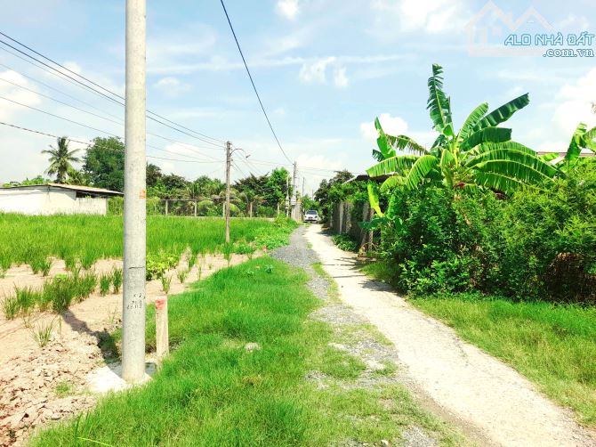 Quá rẻ, 132m2 đất thổ cư 5x 26m đường ô tô nguyễn thị lầu