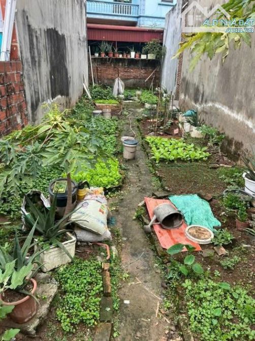 Nguyễn khoái bán 72M đất gần phố hoàng mai