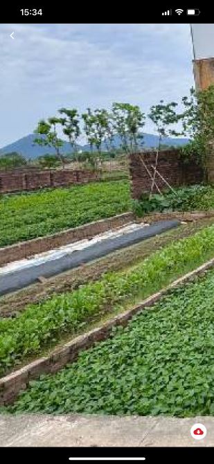Bán đất Quang tiến lô nhỏ vừa tiền giá hợp lý cho ai tài chính vừa