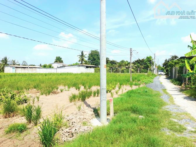 Quá rẻ, 132m2 đất thổ cư 5x 26m đường ô tô nguyễn thị lầu - 1