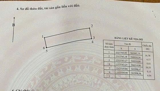 🔥 SIÊU THOÁNG - BÁN ĐẤT THUẬN THÀNH BẮC NINH 70m2 - LÔ GÓC - VIEW THOÁNG - MAZDA TRÁNH - 1