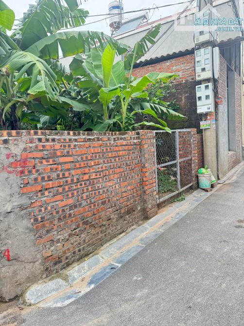 BÁN ĐẤT ĐẸP – GIÁ TỐT – VỊ TRÍ TIỀM NĂNG CAO TẠI MAI LÂM 🏠 66m² - 1