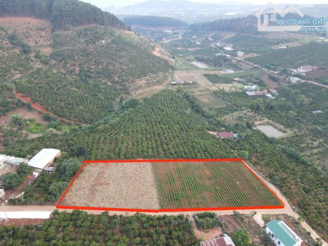 Chính chủ bán đất nền nghỉ dưỡng vùng ven Đà Lạt - sổ riêng từng lô - Giá F0 chỉ từ 600tr