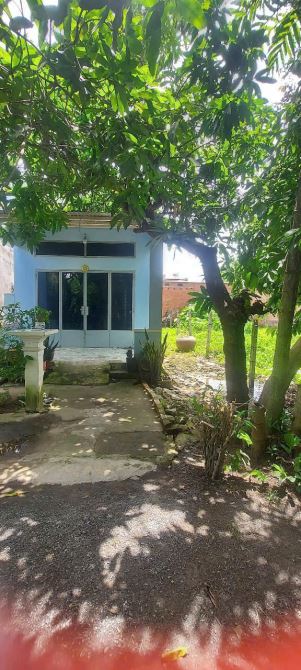 Cần Bán Nhà 3mặt tiền đường Phường Biên Hoà ( Phường Bửu Hoà Cũ) - 1
