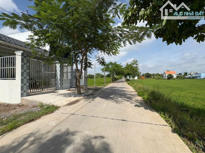 5*25 Mặt tiền Bờ Lát Thanh Phú Bến Lức Long An giá chỉ 1ty550 - 1