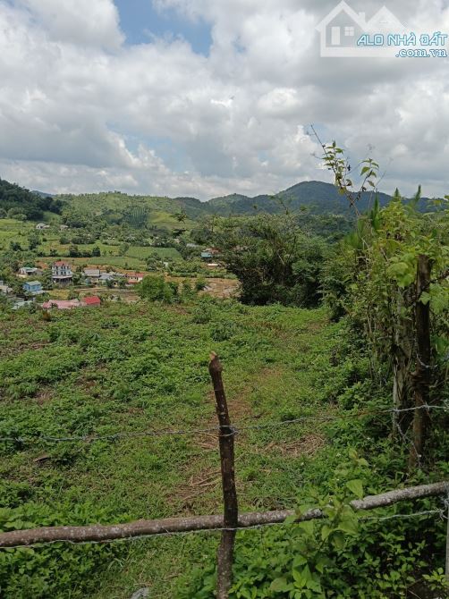 cần bán siêu phẩm 3500m 700m đất ở , view siêu đẹp giá siêu rẻ - 2