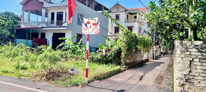Đan Phượng Hà Nội phân lô ô tô vào đất 60m2 65tr.1m2 - 2