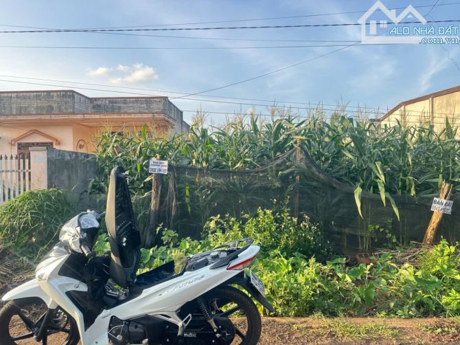 Chủ gửi bán lô đất đẹp trục lộ 2 Buôn Ky - P. Thành Nhất - TP BMT  - 🌿DT: 12x48 - 2