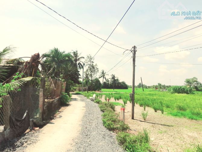 Quá rẻ, 132m2 đất thổ cư 5x 26m đường ô tô nguyễn thị lầu - 2