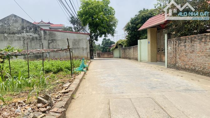 Bán đất minh trí sóc sơn cũ, giá hạt rẻ. - 2