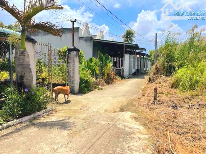 Quá rẻ, chỉ 259tr sở hữu 59m2 đất thổ cư 5x 12m đường ô tô - 2