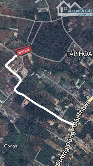 Bán 10000m2 đất Phú Quốc, sổ đỏ , chỉ 1.2tr/m2 - 2