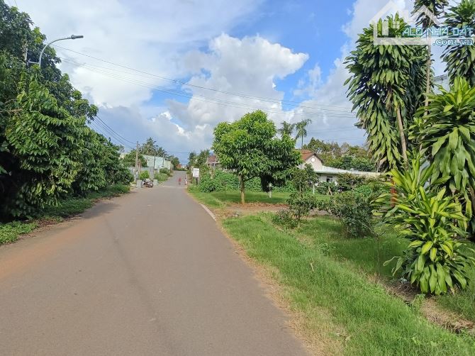 Bán đất mặt tiền đường Nguyễn Biểu,Phường B