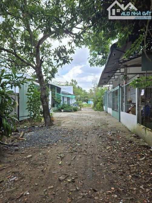 Cho thuê đất 108 m2  đường Nguyễn Văn Trường 4 triệu - 2
