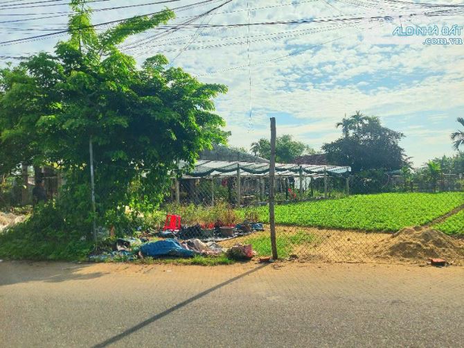 🌿 ĐẤT KHỦNG 500M² HỘI AN – MẶT TIỀN ĐƯỜNG LÊ THÁNH TÔNG – VIEW ĐỒNG THOÁNG MÁT - 2