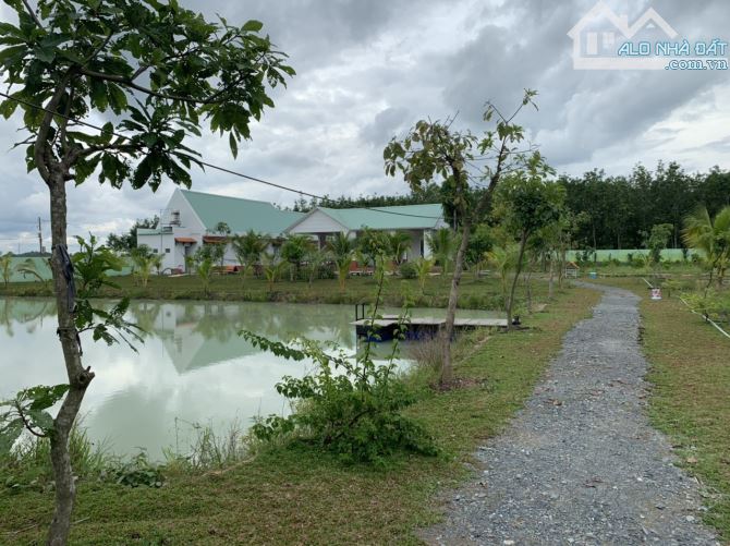 Cần bán đất + nhà vườn nghĩ dưỡng mặt tiền đường oto 6m xã Trung Lập Hạ 7000m2 - 3