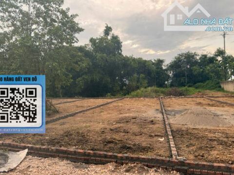 BÁN ĐẤT ĐẤT NỀN XÃ XUÂN MAI – FULL THỔ CƯ – GIÁ TỐT – S = 92,5m² - 3