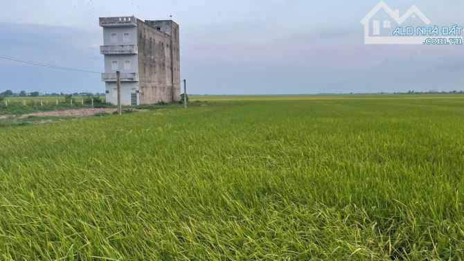 2 công đất mặt tiền đường TL871C gần biển Rạch Bùn, Tân Điền, Gò Công Đông, TG - 3