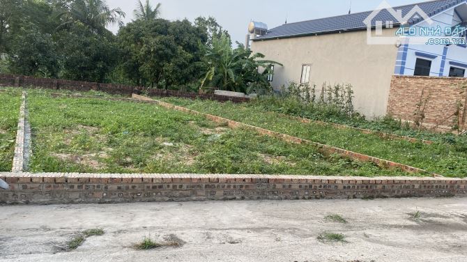 Bán đất minh trí sóc sơn cũ, giá hạt rẻ. - 3