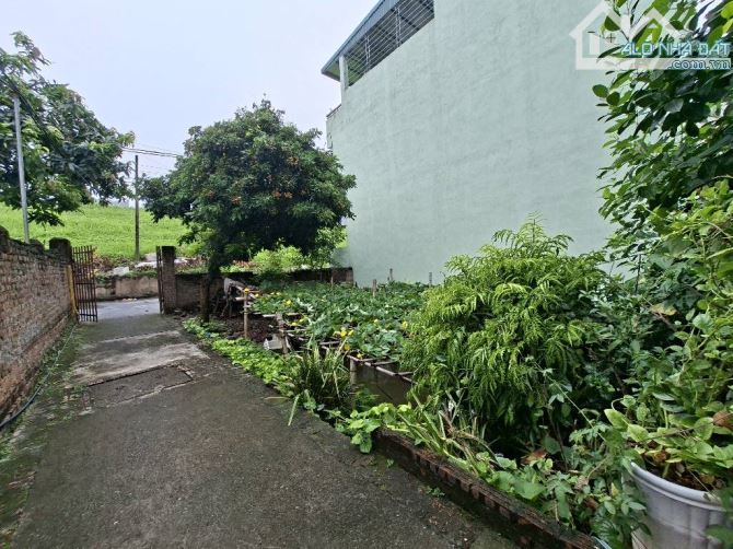 Đông Dư - Bát khối( Trong Đê) 65m Lô Góc- Ô TÔ Đỗ-Ngày Đêm- Kinh Doanh Đa Dạng - 3