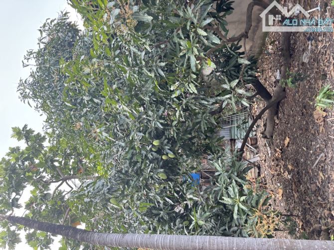 Bán đất mặt tiền đường quốc lộ 1a phường An Phú Đông quận 12 - 3