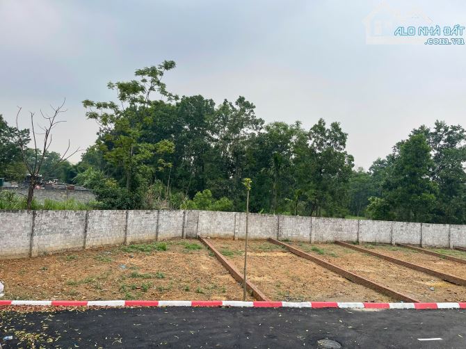 Bán đất nền Láng Hòa Lạc 100m2 giá 2.9 tỷ – sát khu công nghệ cao, đầy đủ tiện ích - 3