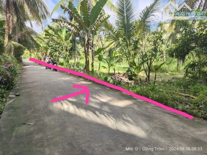 Bán 4800m2 đất vườn dừa mặt tiền đường đan 4m - 4