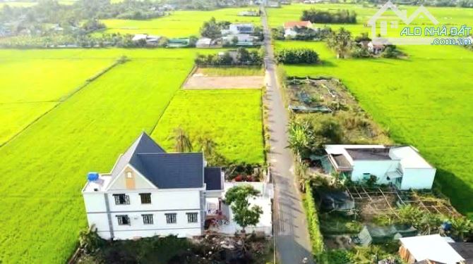 Quá rẻ, chỉ 259tr sở hữu 59m2 đất thổ cư 5x 12m đường ô tô - 4
