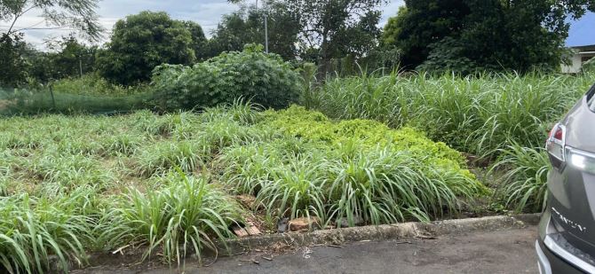 BÁN LÔ ĐẤT 62M² – THÔN 7 TÂN XÃ – GẦN KHU CÔNG NGHỆ CAO - 4