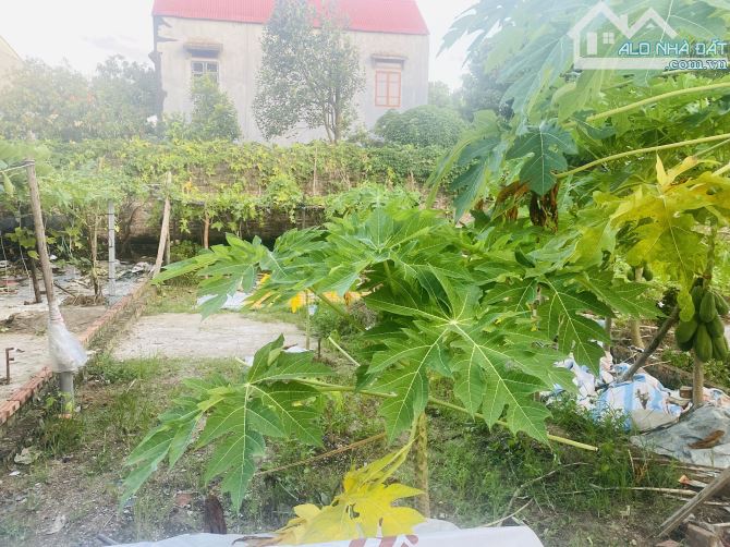 Đất Mai Đình(Sóc Sơn)-Gần trục chính-ngõ ô tô-DT 75m2-Giá cạnh tranh. - 4
