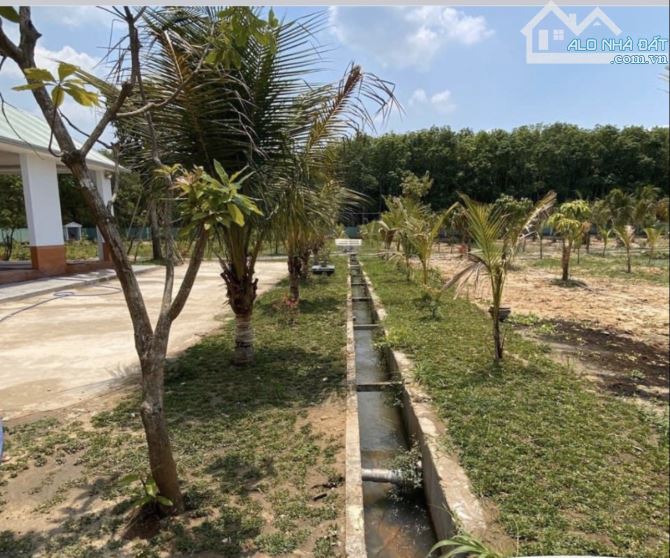Cần bán đất + nhà vườn nghĩ dưỡng mặt tiền đường oto 6m xã Trung Lập Hạ 7000m2 - 5