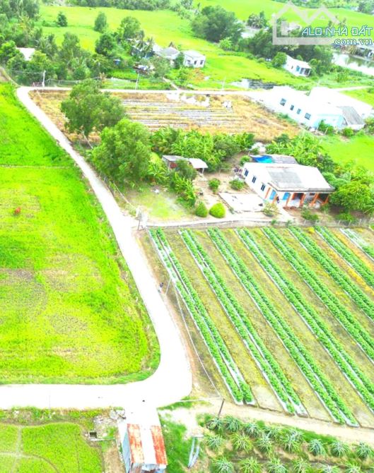 Quá rẻ, 132m2 đất thổ cư 5x 26m đường ô tô nguyễn thị lầu - 7