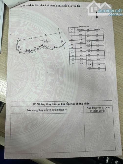 6,1ha tại thôn 6 xã Ea Wer huyện Buôn Đôn trồng full cây ăn trái - 7