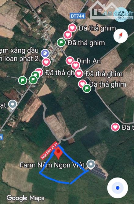 BÁN ĐẤT  MẪU CAO SU, ĐỊNH AN, DẦU TIẾNG, DT:21x260, NỞ HẬU 350M, SHR, GIÁ 15 TỶ - 7