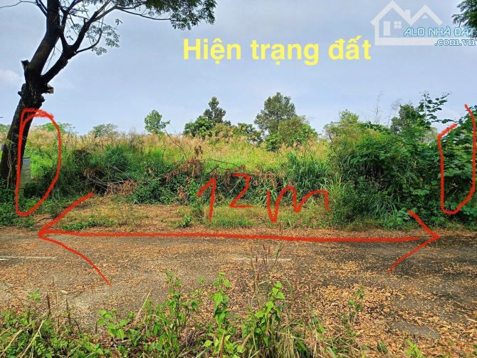 Bán đất biệt thự ven sông tắc đường Tam Đa Quận 9 cũ kdc Đại Học Mở (298m2) 42 tr/m2 - 8