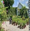 Cần bán đất + nhà vườn nghĩ dưỡng mặt tiền đường oto 6m xã Trung Lập Hạ 7000m2