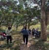 Bán đất cạnh Tỉnh lộ 955B, Lương Phi, Tri Tôn, An Giang, giá ưu đãi 4,7 tỷ, 3453 m2 (43x64