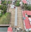 BÁN ĐẤT CÂU TRUNG; QUANG HƯNG- AN LÃO- HẢI PHÒNG.  CÁCH NGÃ TƯ QUANG THANH CHỈ 900M